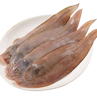 北海龙利鱼新鲜冷冻深海鱼去鳞鳃去内脏踏板鱼海鲜宝宝食用舌头鱼