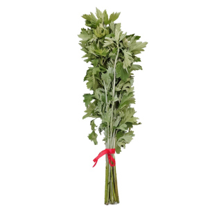 端午节艾草花束儿童手工diy材料包门挂装饰品鲜花菖蒲新鲜艾叶