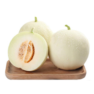 特大白沙蜜糖罐甜瓜种子籽孑超甜薄皮香瓜苗四季阳台盆栽水果籽种