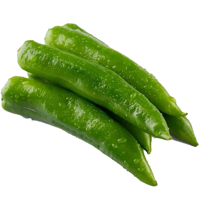 辣妹子青椒高产春季种子苗