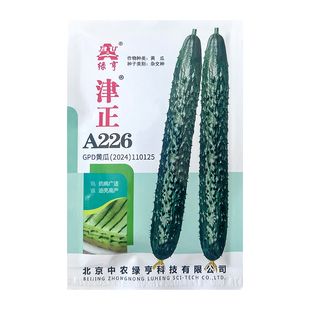 早熟耐热油亮型黄瓜种子津正226夏季露地春秋耐高温绿肉青瓜种籽