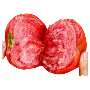 沙瓤西红柿种孑秧苗普罗旺斯番茄种子草莓圣女果籽盆栽蔬菜苗大全