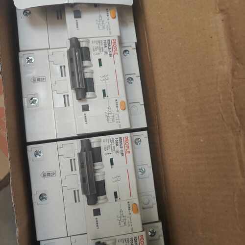 【询价】人民电器RDB5LE-125H漏电保护器，100A 2P，1适用