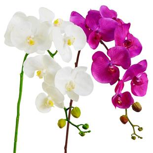 过胶保湿手感蝴蝶兰仿真花单支花客厅家居装饰花酒店婚庆插花假花