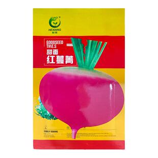 红蔓菁种子 大田菜地高产耐贮存耐热广适蔓菁芜菁籽易种植原厂