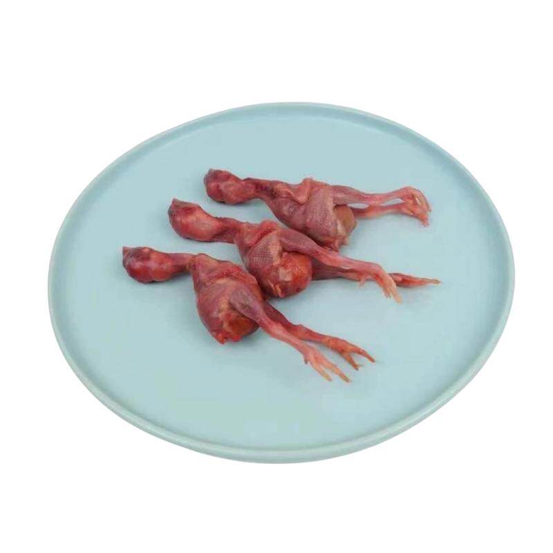 冷冻小鸡仔脱毛小鸡猫咪生骨肉营养冻干狗粮宠物零食蛇鹰甲鱼鳄龟