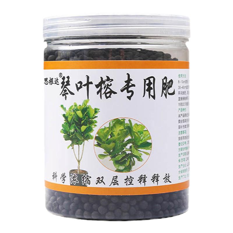 琴叶榕肥料专用肥琴叶榕专用营养液有机复合肥料盆栽绿植物缓释肥