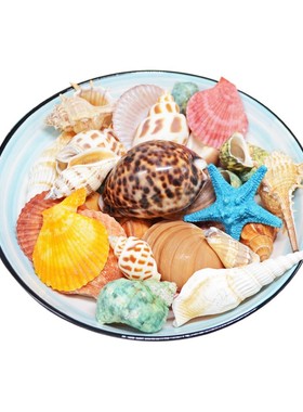 diy海螺贝壳墙贴爱情家居装饰