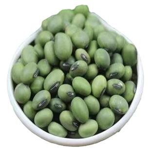 高产大青豆种子大粒青皮青芯夏季播种早中晚熟农家青毛豆大豆种子