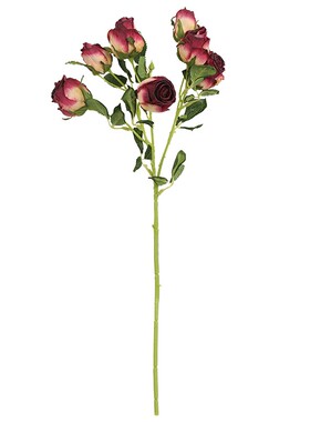 风干玫瑰花家居客厅干花拍摄道具