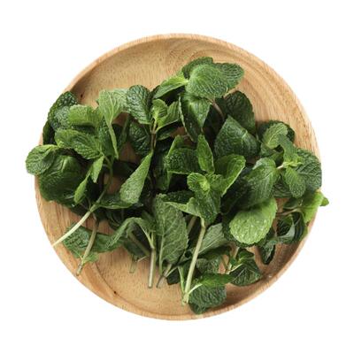 廊下滋味新鲜薄荷叶500g