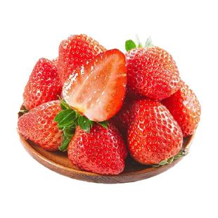 丹东99红颜草莓辽宁东港九九奶油草莓当季新鲜水果丹东产地直发