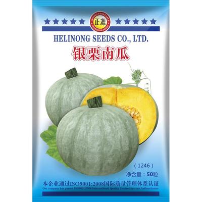 蔬菜新疆香甜四季南瓜种子