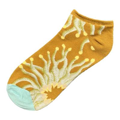 小众袜子法国潮牌女士短袜春夏BM文艺风格彩色袜趣味油画系棉船袜