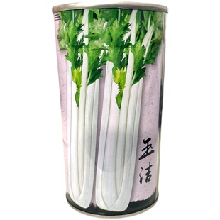 雪白实芹白芹菜种子种籽蔬菜孑冬季秋季高产南方四季籽种盆栽菜籽