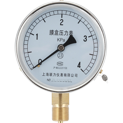 YE100膜盒燃气压力表天然气管道