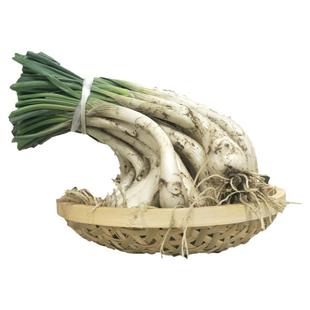 藠头新鲜荞头荞子茭头教头小蒜炒菜疏菜凉拌四川农家自种时令蔬菜