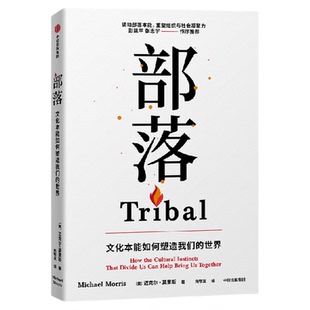 部落 文化本能如何塑造我们的世界 彭凯平 张志学作序推荐 在多重身份认同中 找到你的归属感 迈克尔 莫里斯著 中信出版 旗舰店
