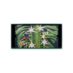 daparo yeung达普罗风兰长喙天蛾胸针女男情侣荧光可爱情人节礼物