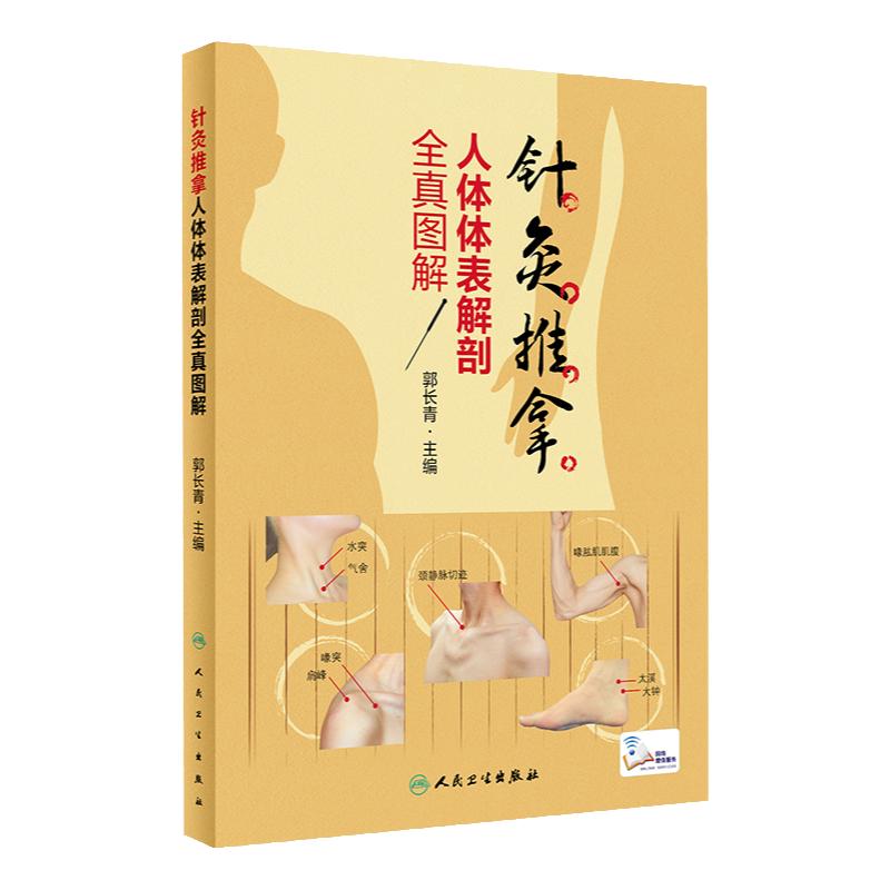针灸推拿人体体表解剖全真图解 郭长青 主编 人体表面解剖学实用医学结构基础彩色图谱 针灸穴位图解