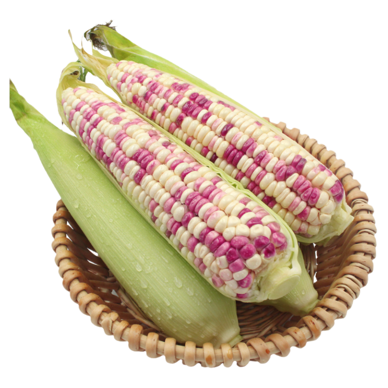广西农家花糯玉米9斤新鲜装