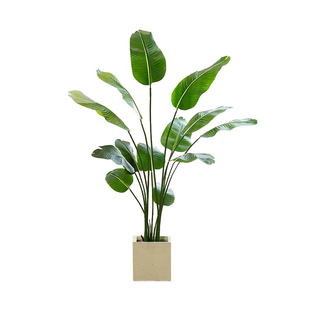 北欧大型仿真绿植假植物盆栽摆件旅人蕉假树天堂鸟仿生轻奢树客厅