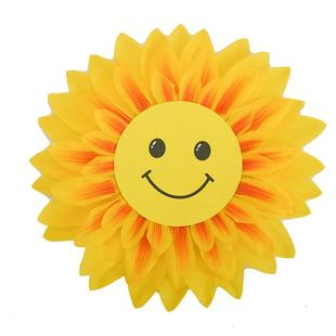 运动会开幕式入场式手拿道具向日葵幼儿园表演花大合唱笑脸太阳花