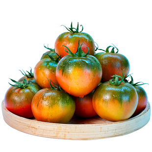 东北新鲜脆柿子盘锦碱地西红柿铁皮绿腚鹰爪柿子丹东草莓柿子番茄