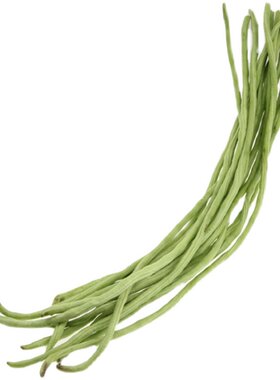 地豆种籽美国无架豆种子豇豆长豆角无筋四季豆高产四季庭院蔬菜