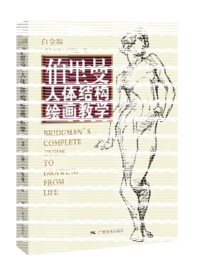 【当当网 正版书籍】伯里曼人体结构绘画教学（白金版）人体结构造型手绘技法 用画手解剖构人物素描速写临摹基础入门教学教程书籍