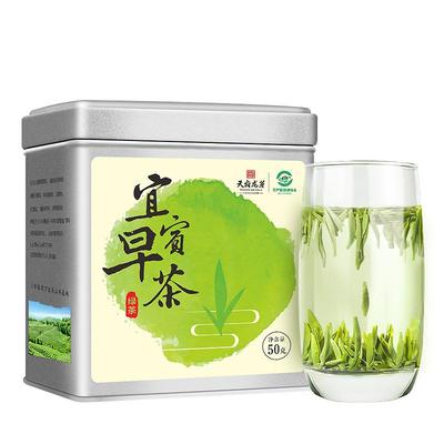 2024年春茶宜宾早茶开园头采绿茶