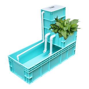 北欧绿龟箱养龟周转箱乌龟专用饲养缸生态缸沼泽过滤箱鱼龟箱混养