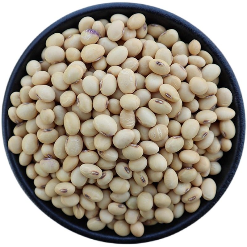 非转基因笨黄豆打豆浆专用500g