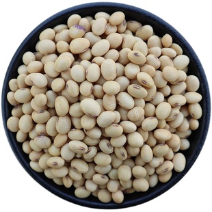 黄豆2025新货农家自种老品种非转基因笨黄豆打豆浆非发芽土黄豆