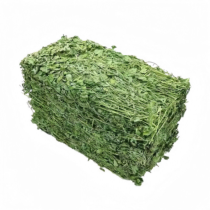 紫花苜蓿草兔粮豚鼠龙猫干草饲料