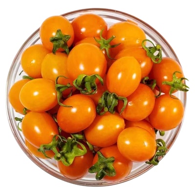 寿光世纪辉煌番茄橙色圣女果新鲜当季橘黄色小番茄生吃水果小柿子