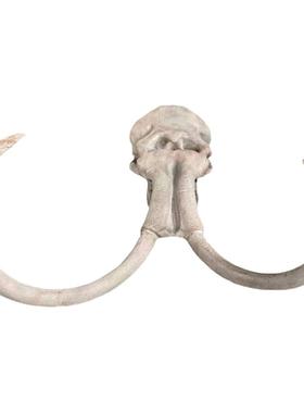 猛犸象剑齿虎霸王龙头骨动物标本