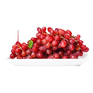 新疆吐鲁番葡萄玻璃脆无籽应当季新鲜水果整箱无核翠红提顺丰包邮