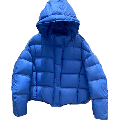 蓝色加厚90白鸭绒羽绒服女