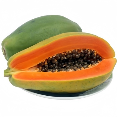 矮化四季红心木瓜树苗南北方可种