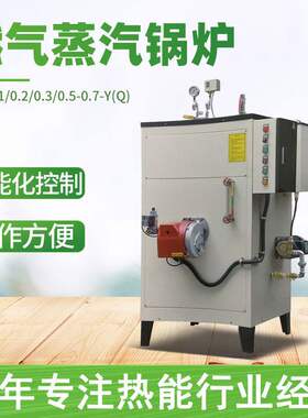 厂家直供工业用燃气蒸汽锅炉自动燃气蒸汽模温机电加热蒸汽发生器