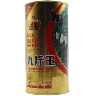 秋冬播特大九斤王特大白萝卜种子 迟抽大萝卜王长白萝卜亩产万斤