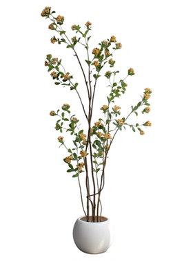 造型奇异的仿真绿植物海岛春花
