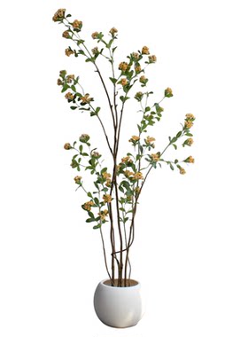 造型奇异的仿真绿植物海岛春花