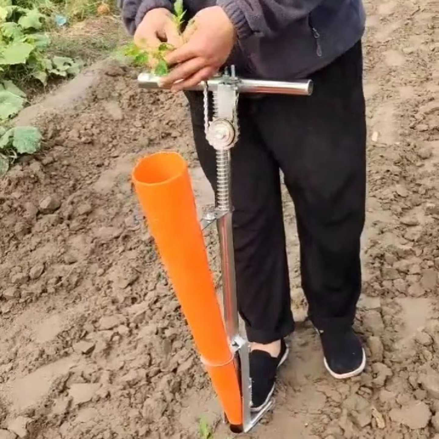 农家移栽器种苗器栽苗器定植器辣椒移栽器辣椒播种器