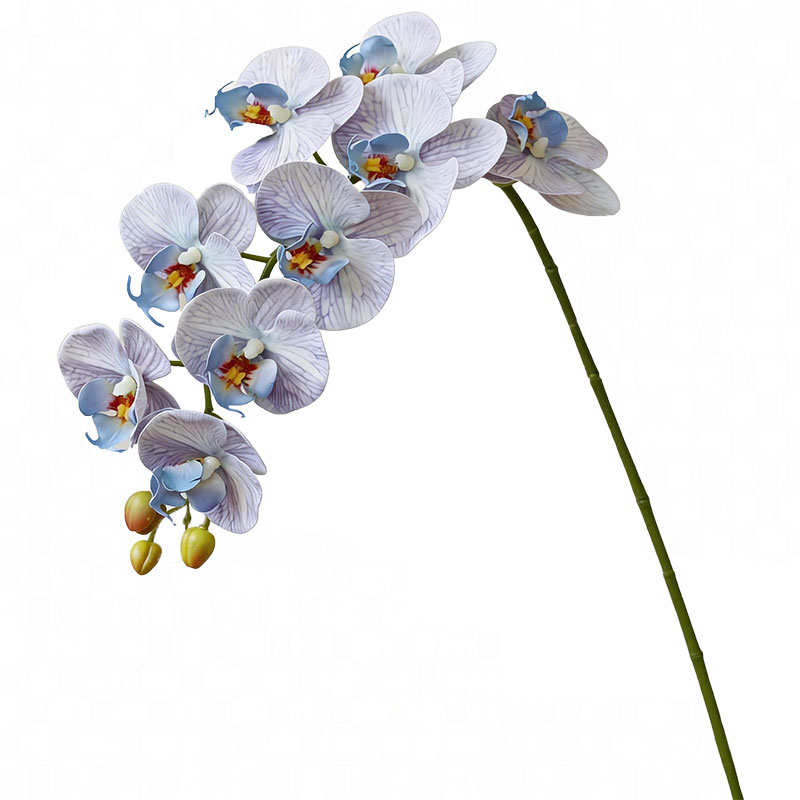 ladylike高端逼真仿真蝴蝶兰花花束简约ins假花仿真花摆设