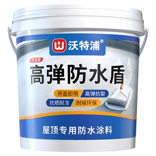 屋顶漏水专用防水补漏材料平房顶裂缝渗水防漏雨楼顶房屋防水涂料