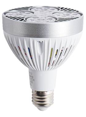 led超亮光源par30cob40WE27彩光