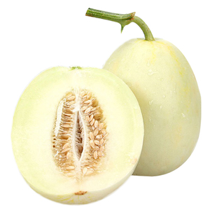 超甜白糖罐早熟品种甜瓜种子 抗病性强不裂果不烂瓜耐储运春季播