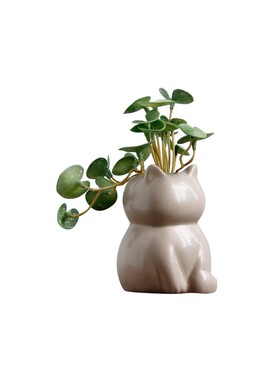 北欧仿真多肉绿植盆栽假花摆件